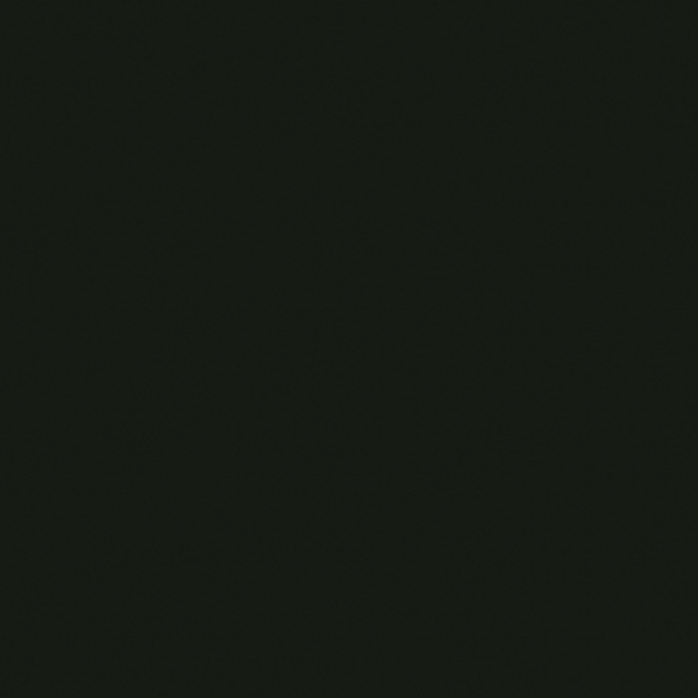 Dekor-Spanplatte Schwarz (Raven Black L007 AP)