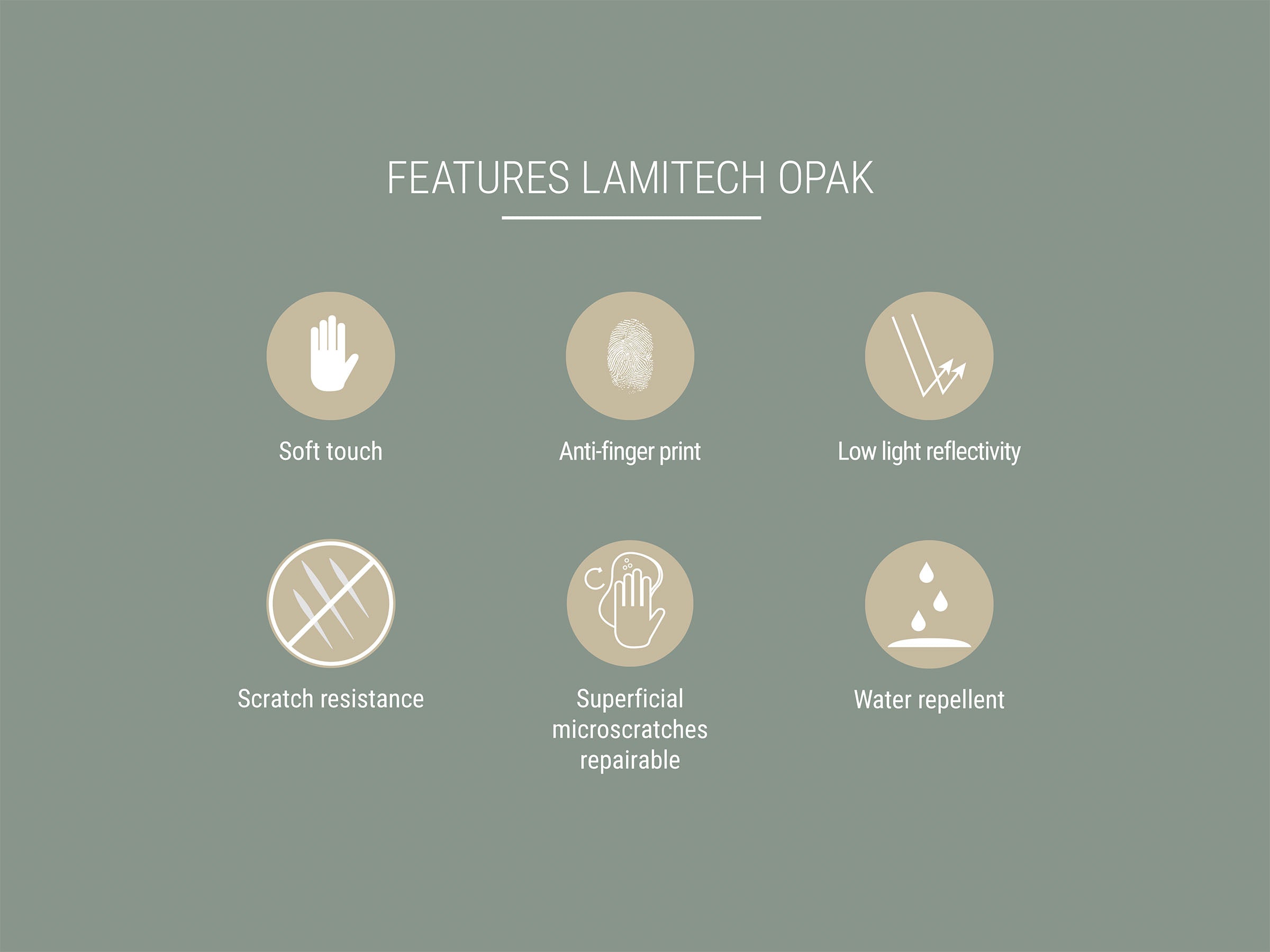 Queenply Multiplex Lamitech Bleen 2224