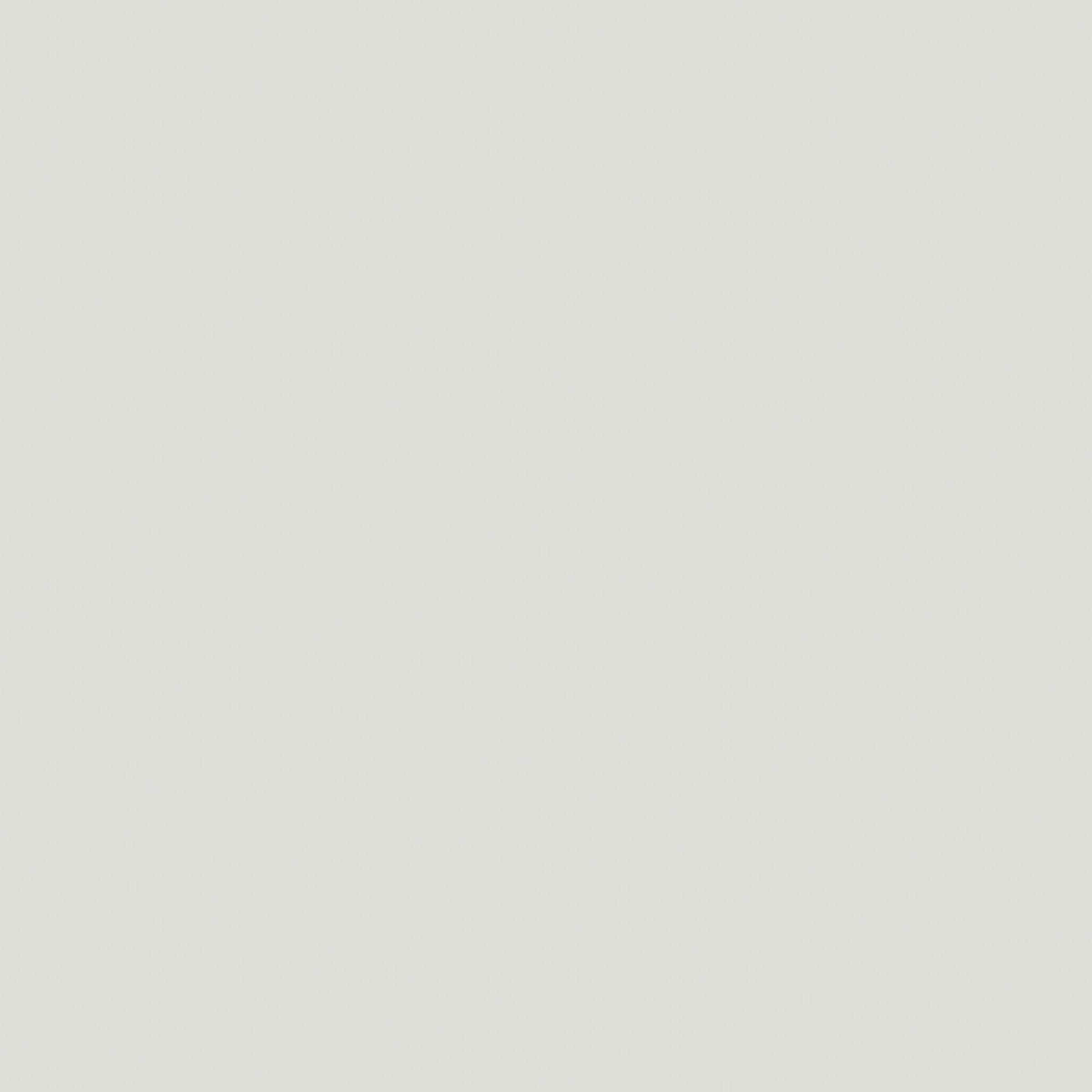 Dekor-Spanplatte Grau (Darwin Grey L022 AP)
