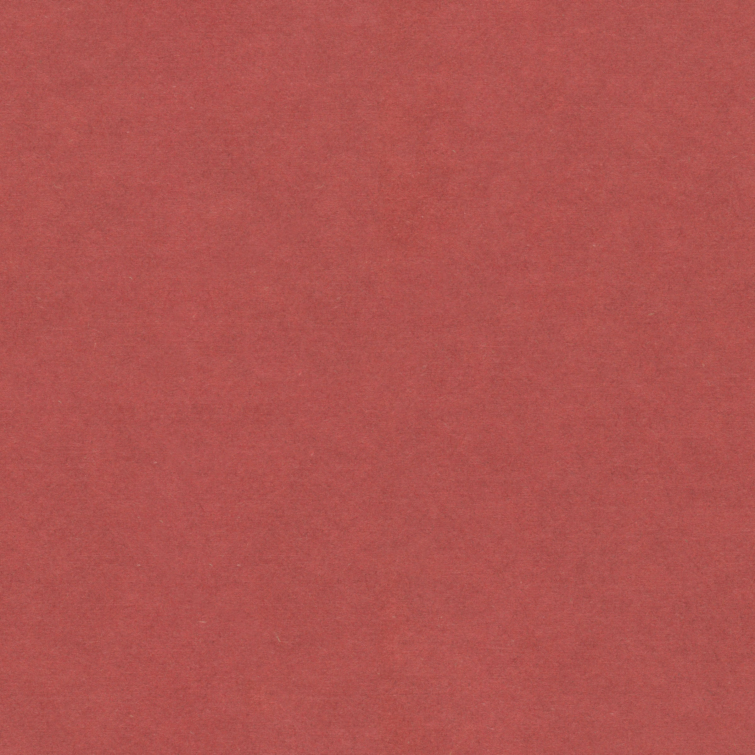 MDF Forescolor Rot